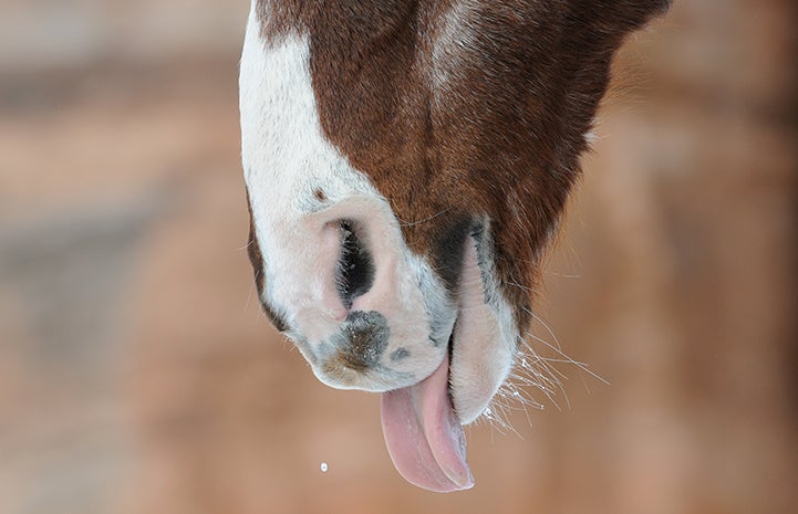 Catching snowflakes is my favorite pastime.