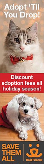 Adopt 'til you drop! holiday adoption promotion