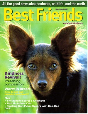 Cici on the cover of the Best Friends magazine