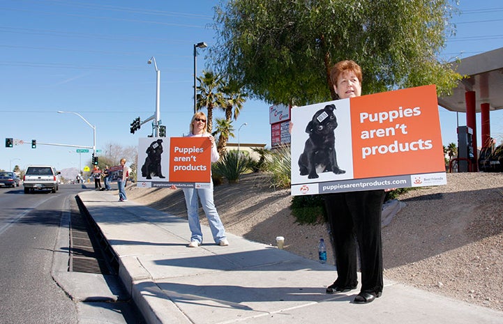 People peacefully protesting a pet store