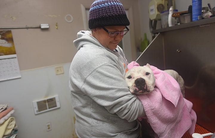 Ralph the dog and the other Dogtown residents get the soft touch when it's bath time