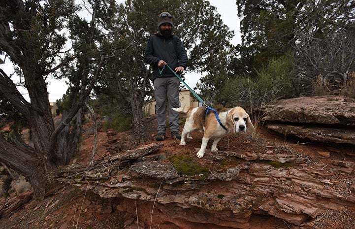 Gus the beagle was hiking the half-mile trail with a spring in his step and his long ears flapping in the breeze