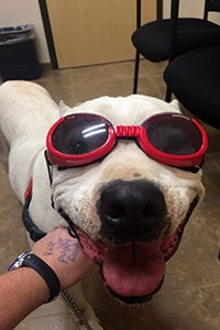 Ralph has come to enjoy the laser therapy treatments he gets