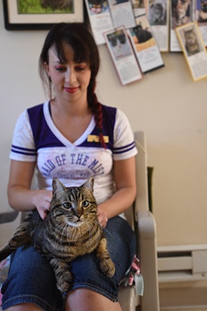 Cory the cat who has paralyzed hind legs sitting in Felicia's lap