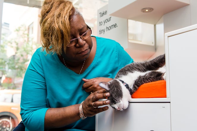 Woman with a cat at the shelter