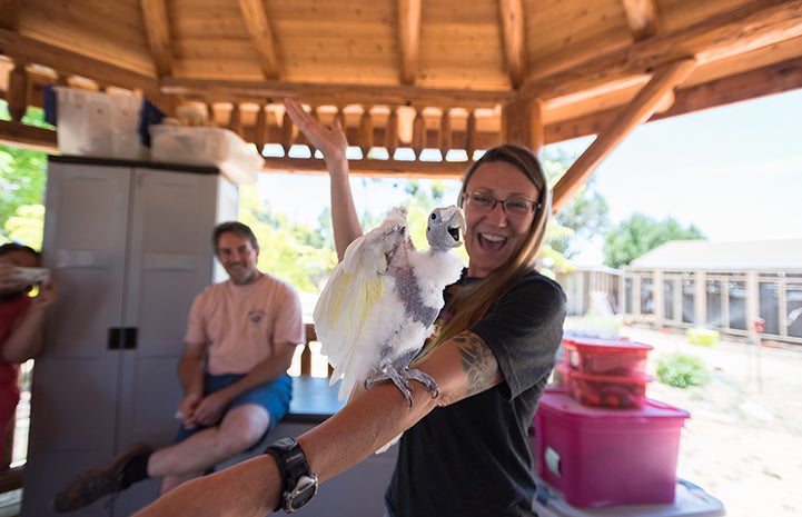 Caregiver Lisa parties with King O the Ducorp’s cockatoo