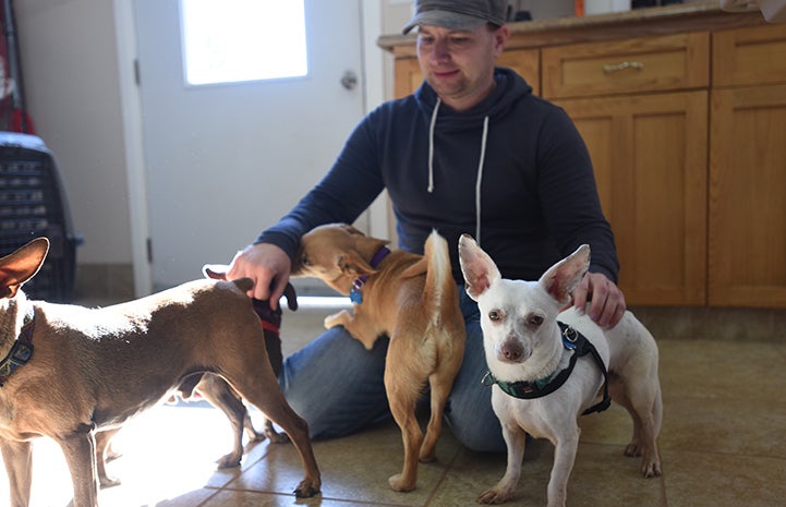 Danny the dachshund and Chihuahua mix learned that Mark was a friend