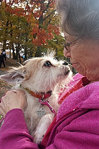 Rainbow the senior terrier mix found the perfect adopter