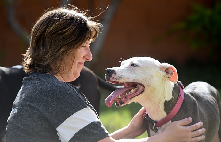 Trinity the pit bull terrier mix, who was likely a former fighter bait dog, with Leslie