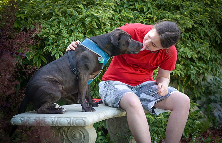 Geneva, the black Labrador retriever and pit-bull-terrier mix, met a kindred spirit