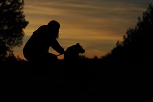 Georgia the Vicktory dog in a sunset