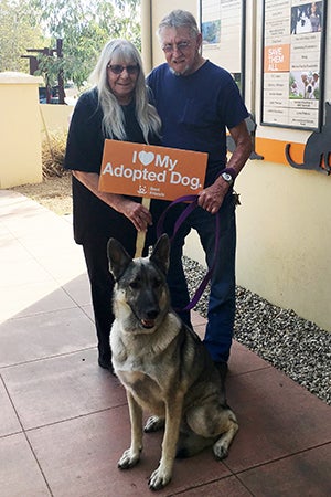 The senior German shepherd was on her way home with Susie and Bill