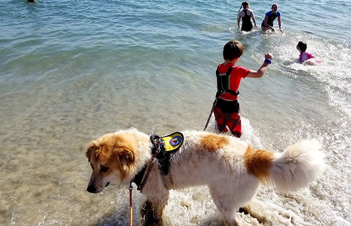 Wash and Dalton have gone to the Pacific Ocean and played in the waves