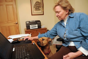 Lucas the Vicktory dog helping out in the office