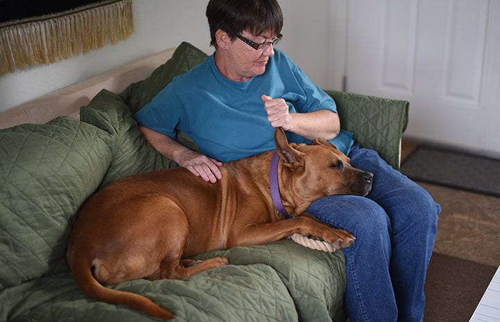 Ann Janssen on a sleepover with Hoagie the dog who has lupus