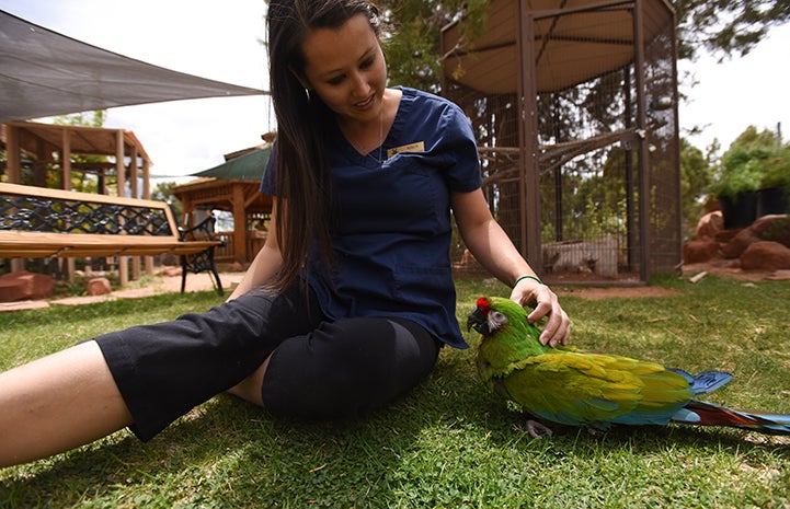 Parrot Garden caregiver Kaila Huhtasaari with Louie the military macaw
