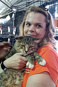 Huey the brown tabby practically sold himself at the NKLA Super Adoption