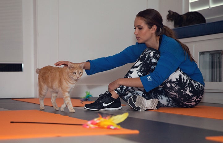Woman taking a break from yoga to pet an orange tabby cat wandering by