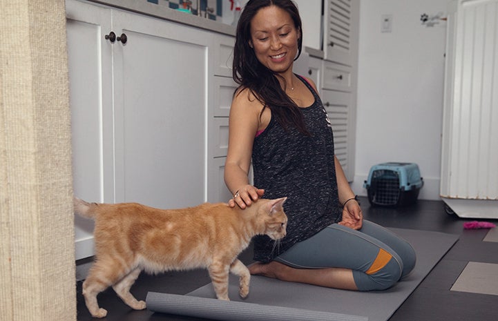 Woman doing yoga stopping to pet a cat