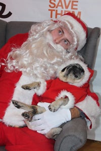 Even Santa Claus visited the New York Super Adoption
