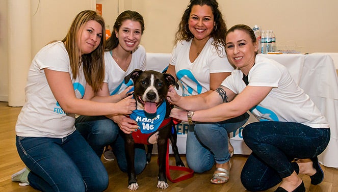 Group of women with a dog wearing an "Adopt Me" bandana