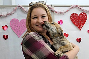 In all, 1,007 Dallas Animal Services pets went home through the promotions in 2014.