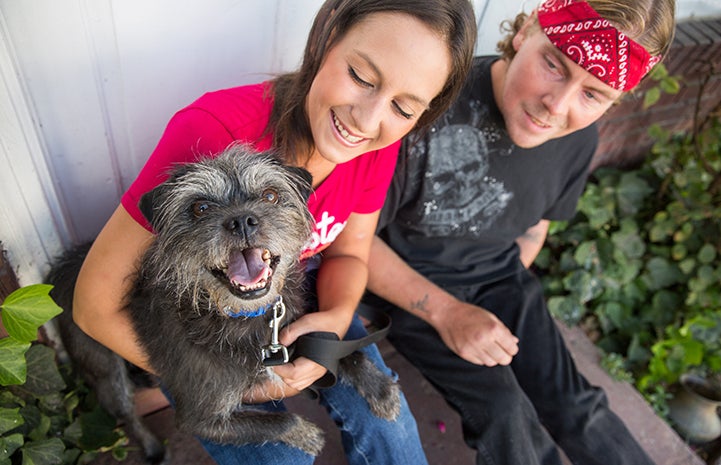 Waylon the terrier mix after being adopted by Gavin Gloyne and his wife Kristina