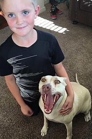 Pearl the pit bull terrier, a former fighting dog, with the boy Hayen