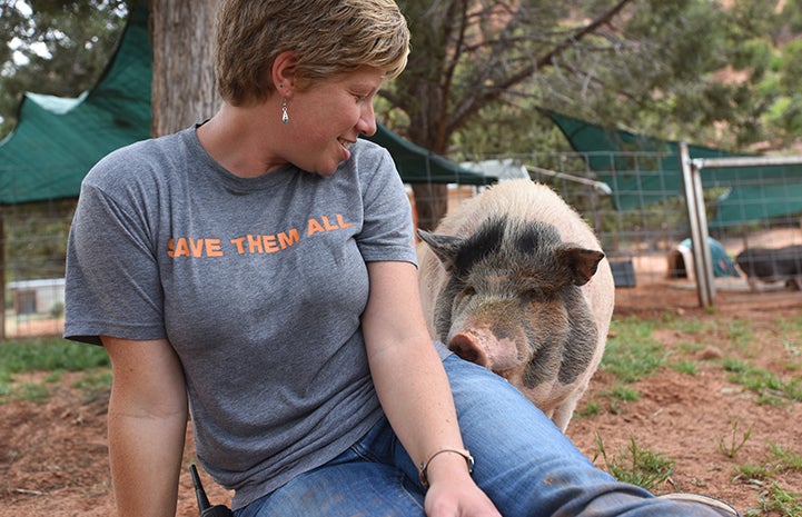 Molly the potbellied pig with Marti, office coordinator for Horse Haven and Marshall’s Piggy Paradise