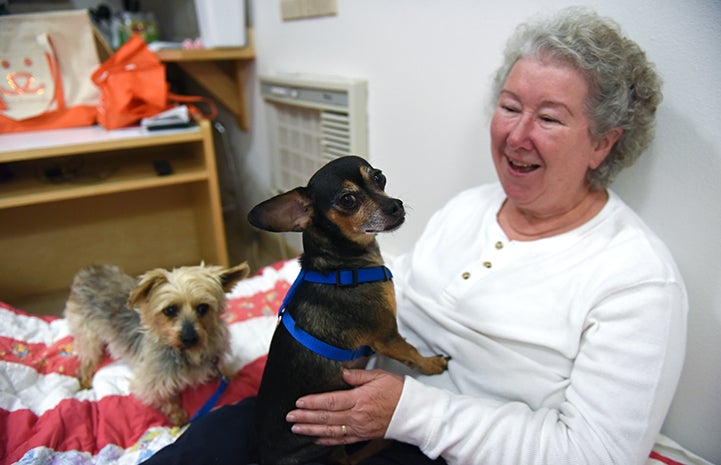 Cathy Calure enjoying time with Yorkshire terrier Samantha, a puppy mill survivor, and her dog friend Pepe