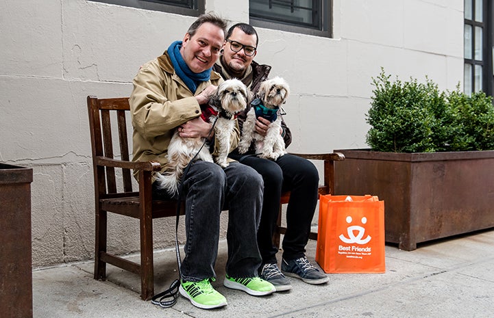 David Johnston and Danny Costa on a bench with Sunny and Moon, two senior shih tzus