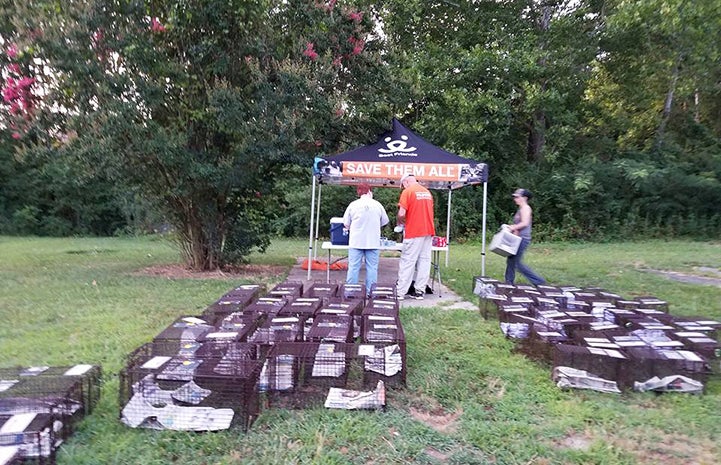 Humane traps are ready to start catching community cats for TNR