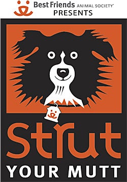 2011 Strut Your Mutt logo