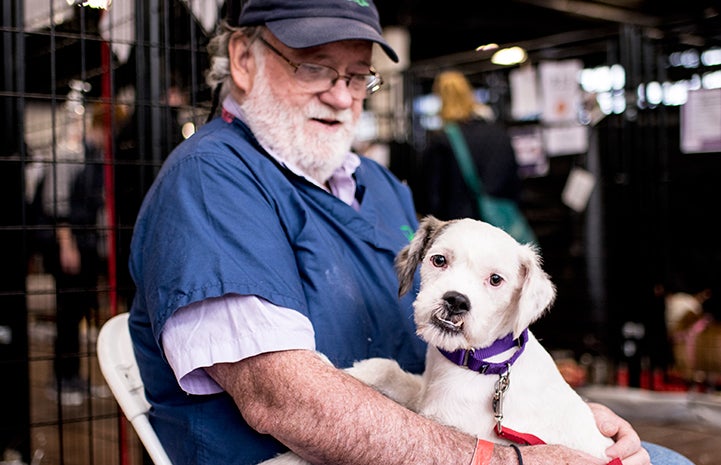 ARF volunteer at the New York Super Adoption