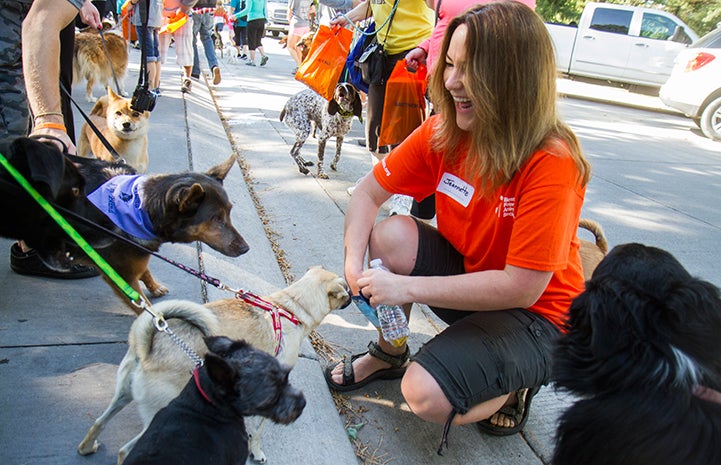 Volunteer distributing treats to the dogs during Strut Your Mutt