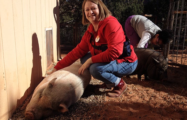 Volunteer Tracey Lacka volunteering at Piggy Paradise with Oliver