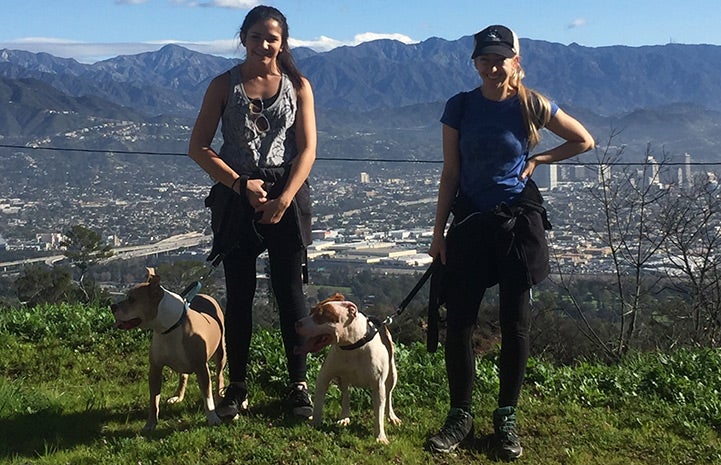 Volunteer Victoria Vertuga on an outing with dogs