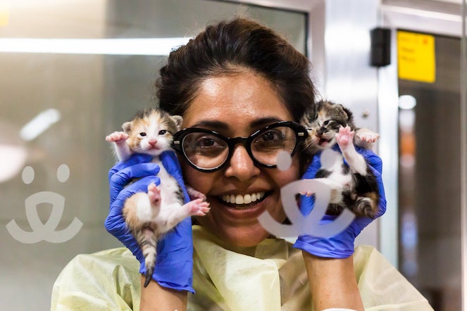 Woman holding two small kittens