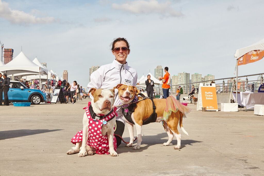 Woman with two pit-bull-type dogs at Strut Your Mutt