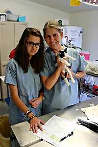 Dr. Paige Brainard helped spay and neuter community cats in Tucson, Arizona