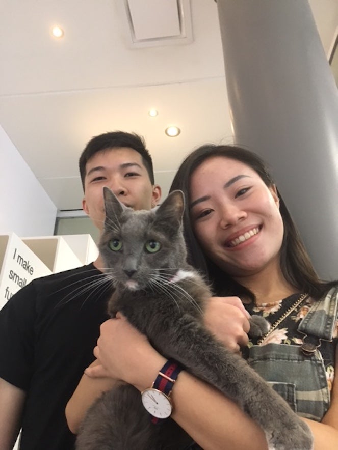 Couple with their adopted gray cat