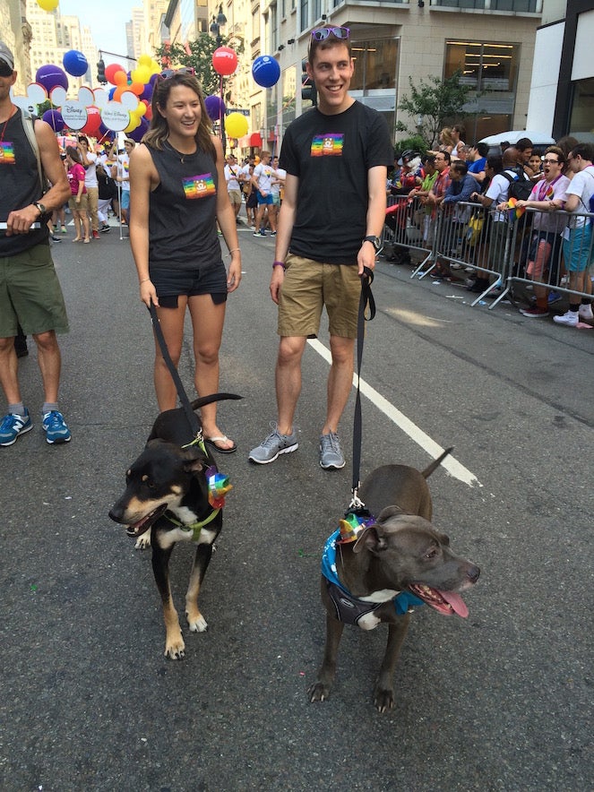 Dogs at Pride Festival