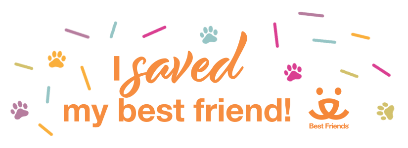 I saved my best friend animated text