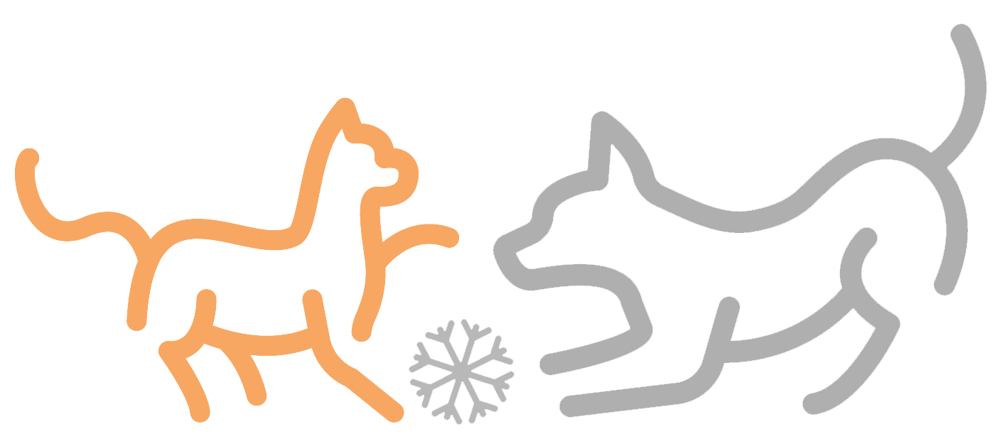 Icons of a cat and dog, with a snowflake between them