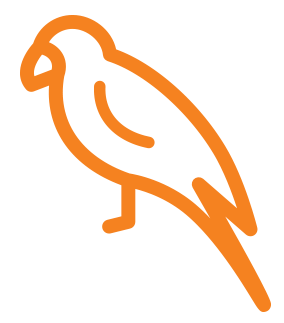 Silhouette of a parrot sitting