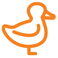 Wild Friends - Duck