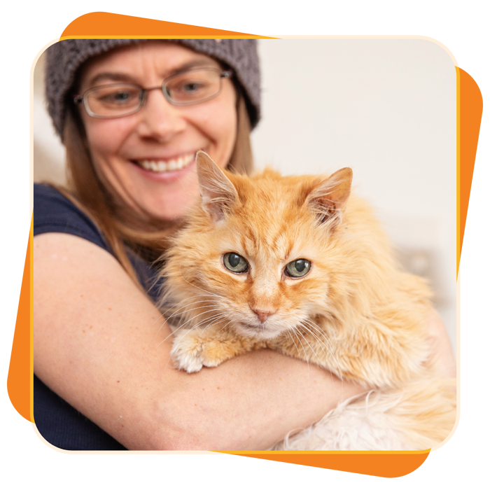 Woman volunteer holiday large orange cat