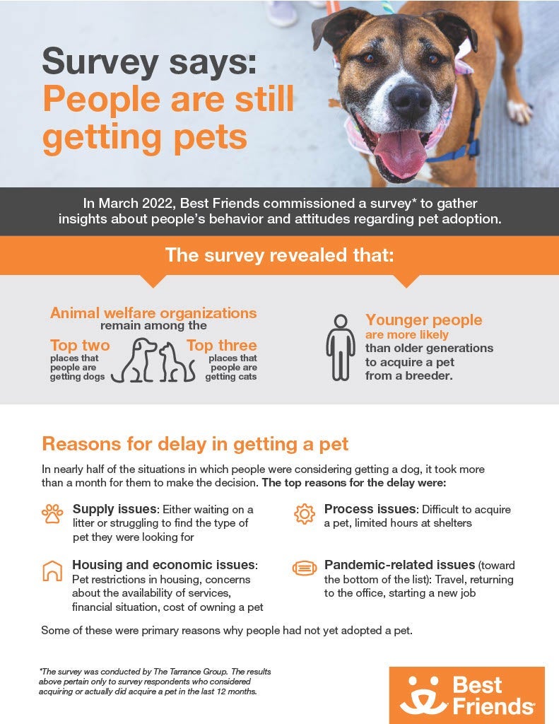 Consumer Adoption Survey page 1