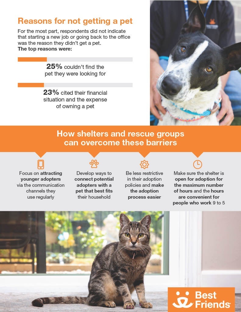 Consumer Adoption Survey page 2