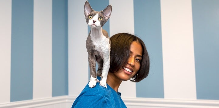 Woman in blue shirt with white and gray cat standing on her shoulder